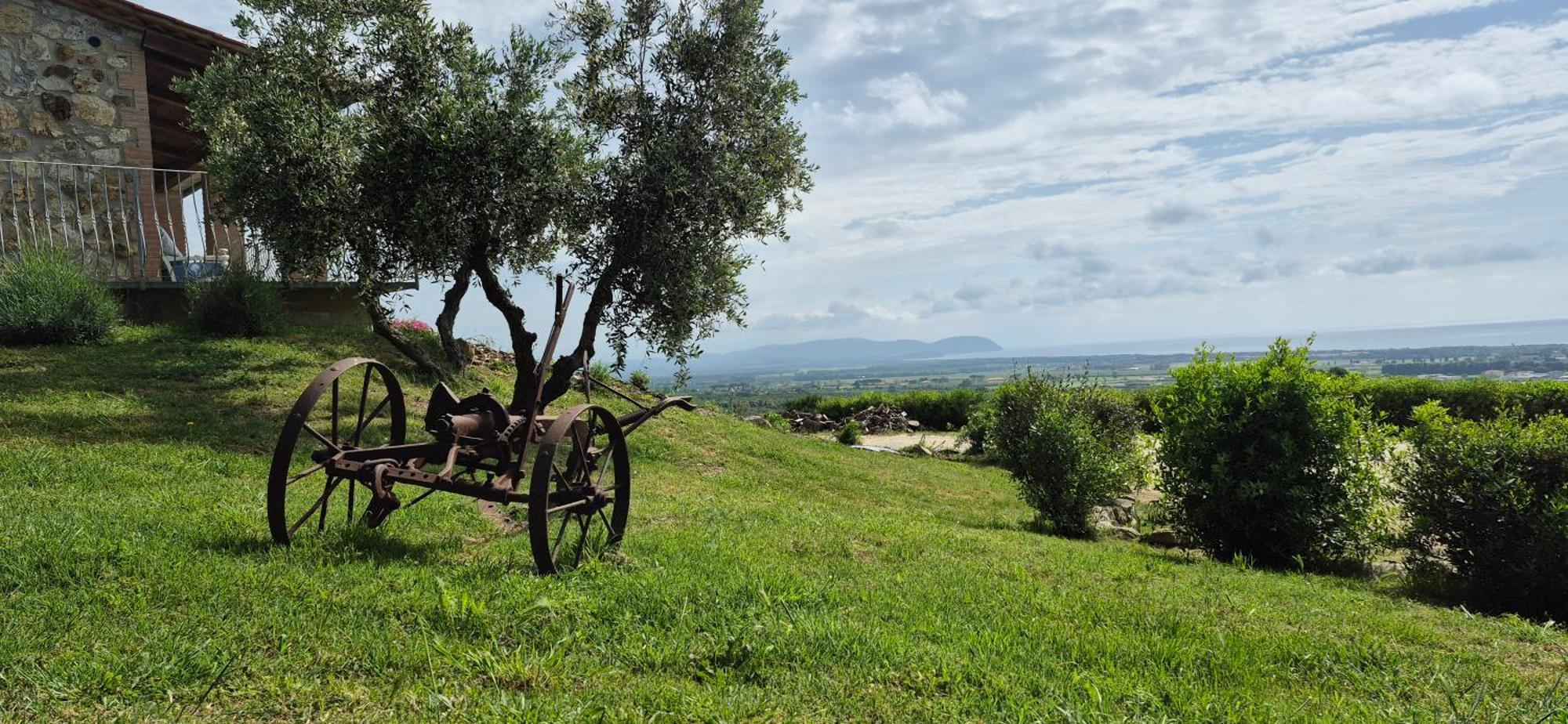 סן וינצ'נזו Agriturismo Suite Del Conte מראה חיצוני תמונה
